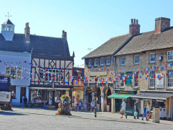 Curious About Stamford