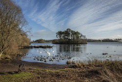 Monikie Country Park
