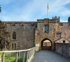 Museum of Somerset