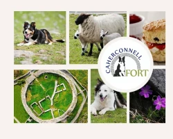 Caherconnell Stone Fort & Sheepdog Demonstrations