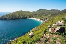 Keem Beach