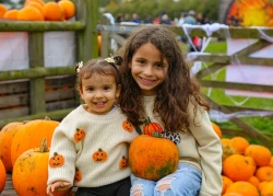Barleylands Farm Park