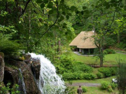Kilfane Glen & Waterfall