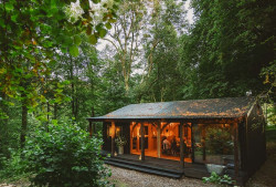 Littlewood Forest