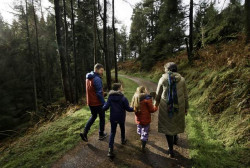 Davagh Forest