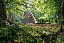 Garvagh Forest