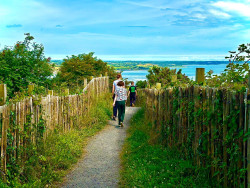 Scrabo Country Park