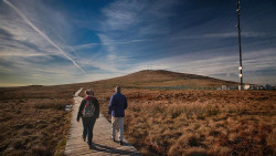 Divis and the Black Mountain