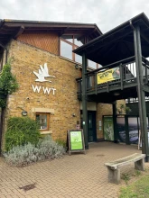WWT London Wetland Centre