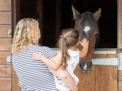 Hopefield Animal Sanctuary
