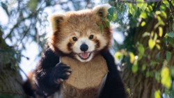 Marwell Zoo