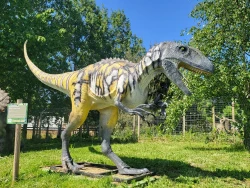 Ark Wildlife Park