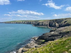 Cardigan Island Coastal Farm Park