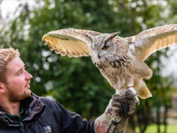 Screech Owl Sanctuary & Animal Park