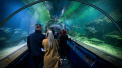 Deep Sea World