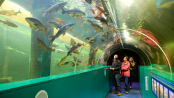Lakes Aquarium