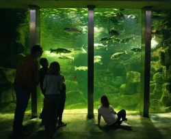 Galway Atlantaquaria