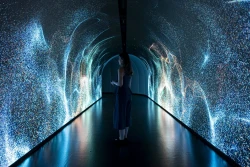 The Timewalk Exhibition - An Immersive Journey Through Civilisations
